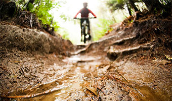 redwoods mountain biking