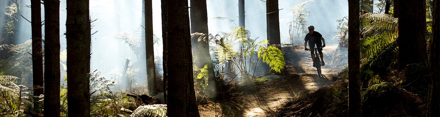 redwood mtb park