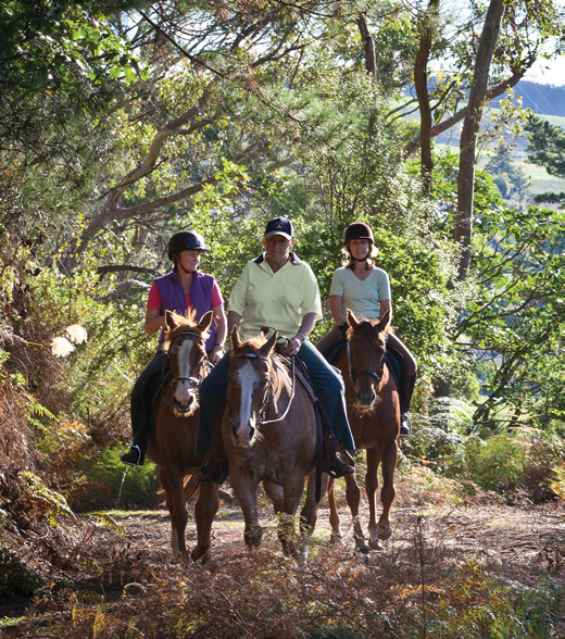 Trail network & Map The Redwoods Whakarewarewa Forest, Rotorua, New