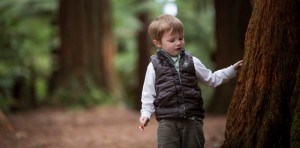 GM_Redwoods_FAMILY-20 (boy touching tree)